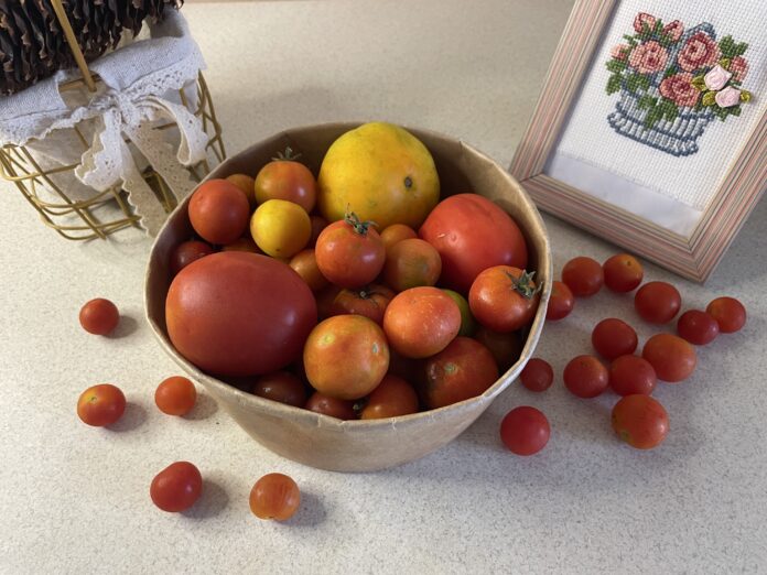 10 цікавих фактів про помідори