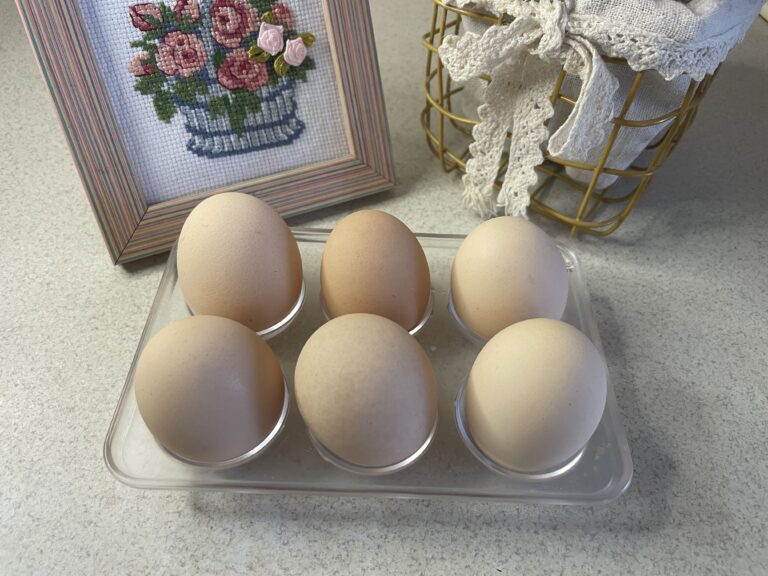 Омлет «як у готелі»: що покласти перед приготуванням