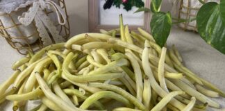 Користь та шкода стручкової квасолі Користь та шкода стручкової квасолі. Шпарагівка