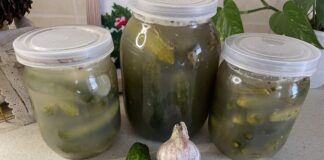 Квашені огірки Квашені огірки