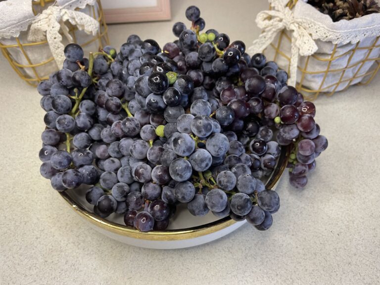 Все, що потрібно знати про користь та шкоду винограду