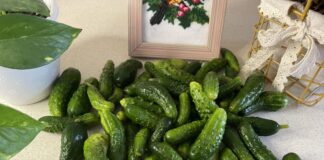 Огірки їсти з шкіркою чи без? Огірки їсти з шкіркою чи без?