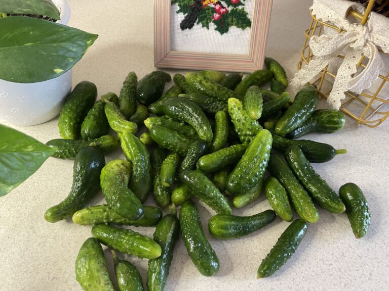 Огірки їсти з шкіркою чи без?