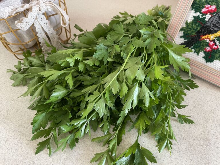 Петрушка: чим корисна та що вона лікує