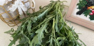 Як заготовити руколу на зиму? Як заготовити руколу на зиму?