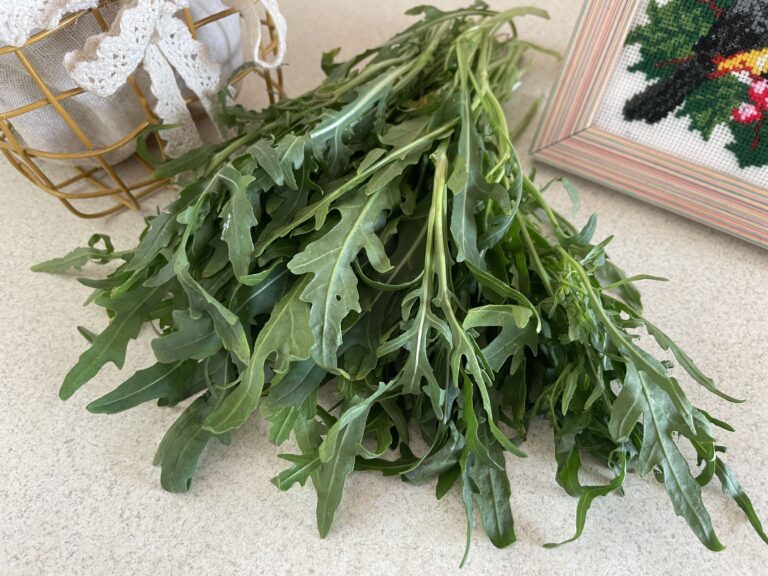 Як заготовити руколу на зиму?