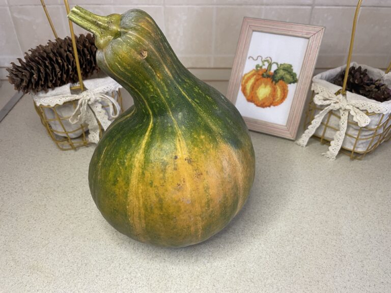 9 причин, чому варто їсти гарбуз щодня