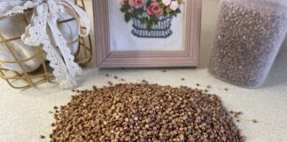 Гречка розсипчаста та ароматна: секрет приготування Гречка розсипчаста та ароматна: секрет приготування