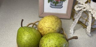 Груша: користь та шкода Груша: користь та шкода