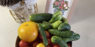 Міфи про салат з огірків та помідорів Міфи про салат з огірків та помідорів