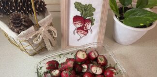 Корисні властиості редиски Корисні властиості редиски