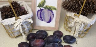 Користь та шкода сливи: кому слід їсти, а кому краще відмовитися від вживання Користь та шкода сливи: кому слід їсти, а кому краще відмовитися від вживання