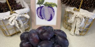 Слива – корисні властивості Слива - корисні властивості