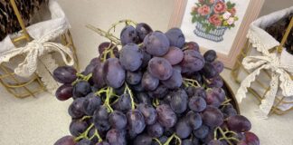 Який виноград корисніший – з кісточками чи без Який виноград корисніший – з кісточками чи без
